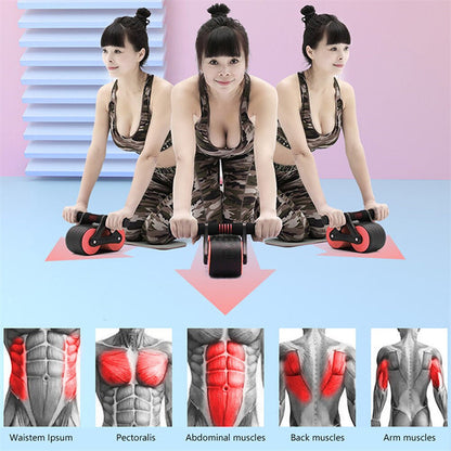 Double Wheel Abdominal Exerciser null